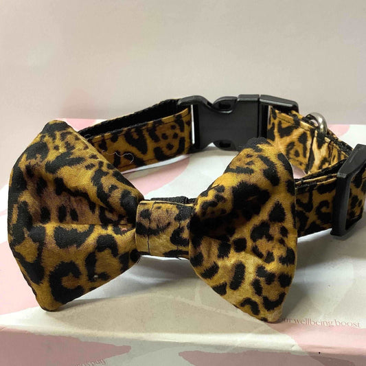 Attractive Leopard Print design dog collar and bow tie set