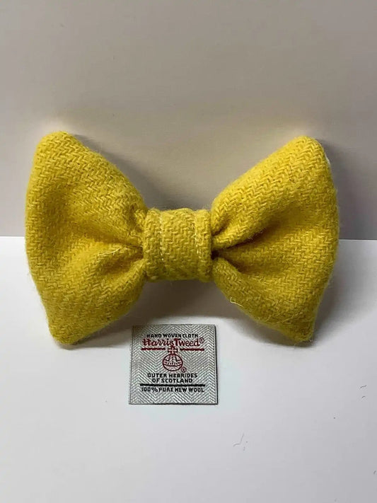 Harris tweed dog bow tie, Yellow, Medium