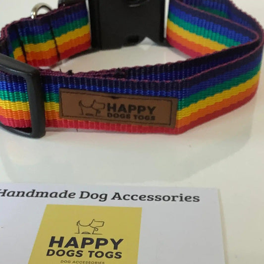 Rainbow stripe dog collar size Large