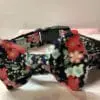 Attractive Black Floral design dog collar and bow tie set