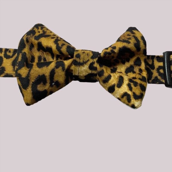 Attractive Leopard Print Design Dog Collar And Bow Tie Set