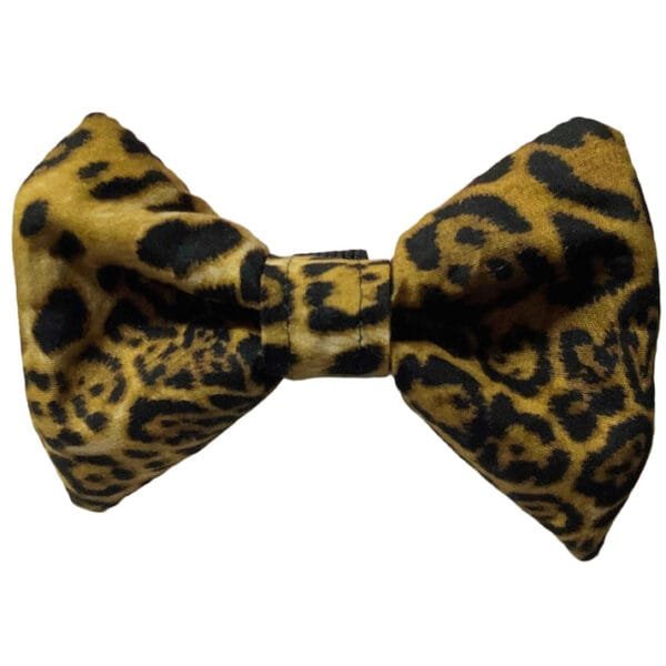 Attractive Leopard Print Design Dog Collar And Bow Tie Set - Image 4