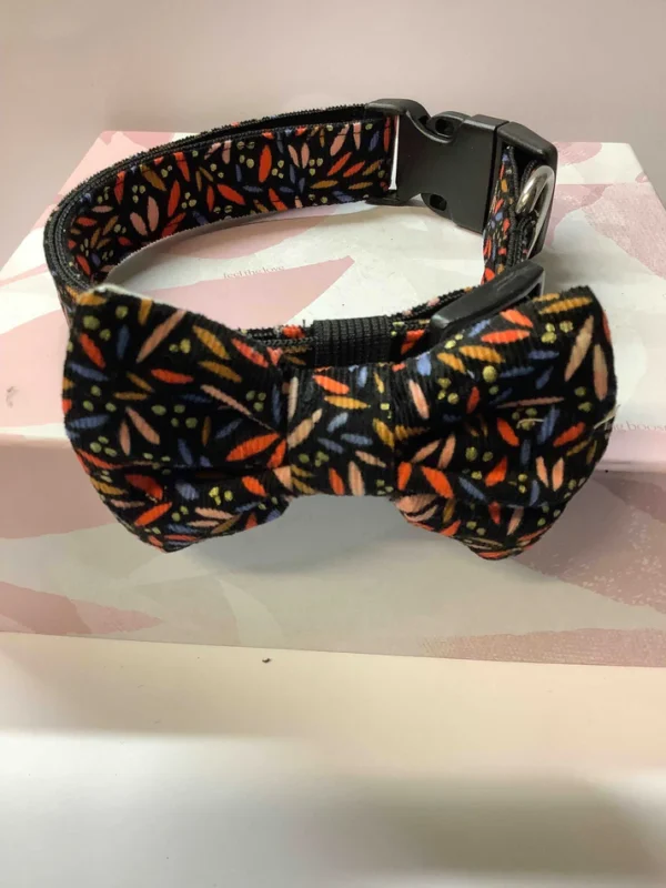 Colourful Design Dog Collar And Bow Tie Set