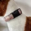 Cream Check Harris Tweed Dog Collar