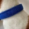 Deep Blue Harris Tweed Dog Collar - Image 2