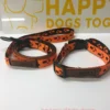 Dog Collar Sets - Image 6