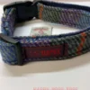 Shades of Blue Check Harris Tweed Dog Collar