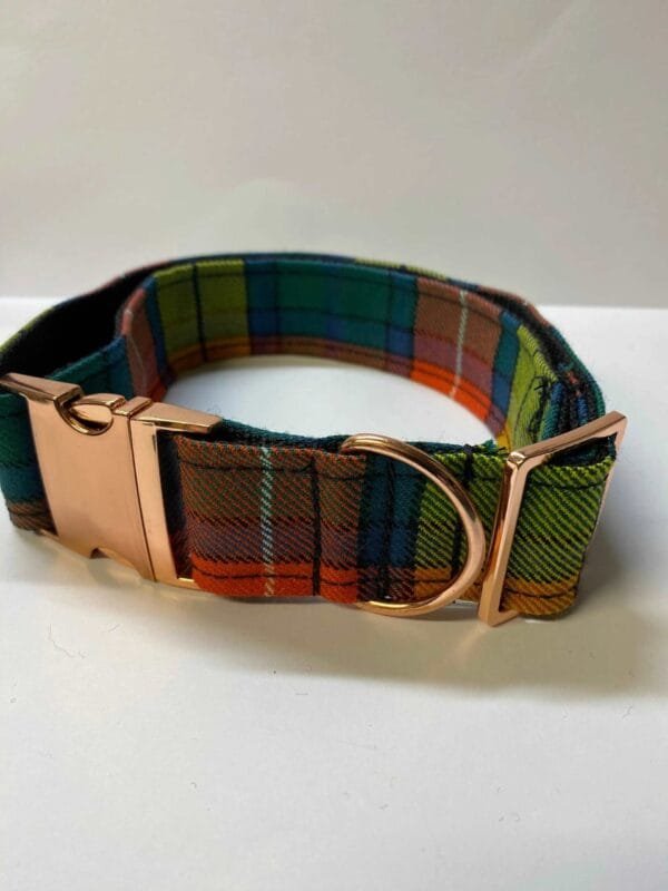 Extra Large Tartan Dog Collar Multi Colour Tartan