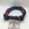 Green and Purple Harris Tweed Dog Collar Medium - Image 2