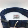 Harris Tweed Dog Collar Blue with Gold check