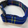 Scottish Tartan Dog Collar Royal Blue with Red, White Check Tartan - Image 2