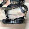 Blue and White Tartan Dog Collar and Bow Set - Image 3