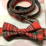 Tartan Dog Collar Bow and Lead set Red and Green Check Tartan