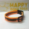 Large Fluorescent Orange reflective safety Dog Collar - Image 2