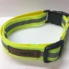 Large Dog Collar in Fluorescent Yellow reflective safety