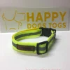 Large Dog Collar in Fluorescent Yellow reflective safety - Image 3