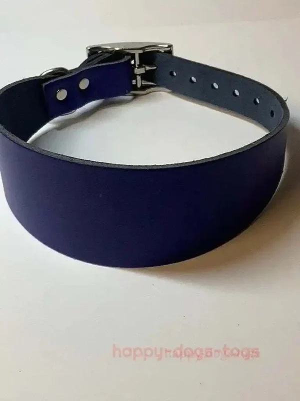 Nice Leather Greyhound Collar Medium Size.