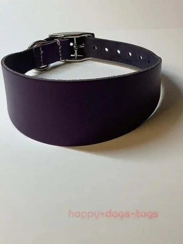 Nice Leather Greyhound Collars - Image 3