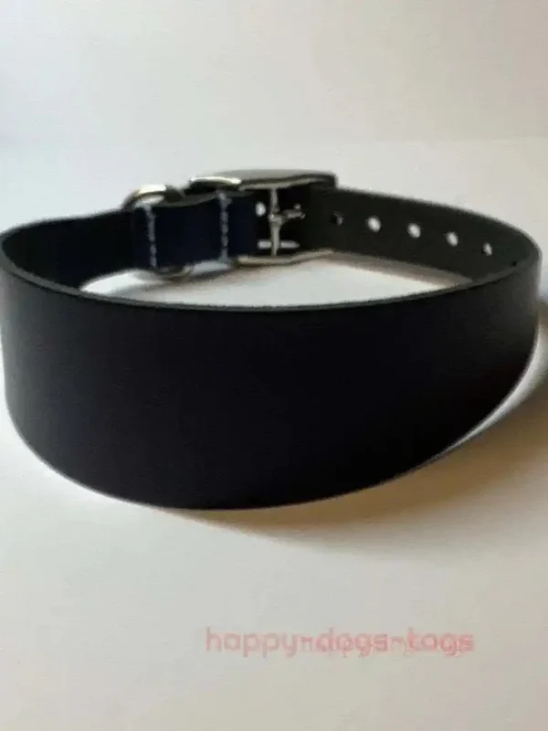 Nice Leather Greyhound Collars - Image 5