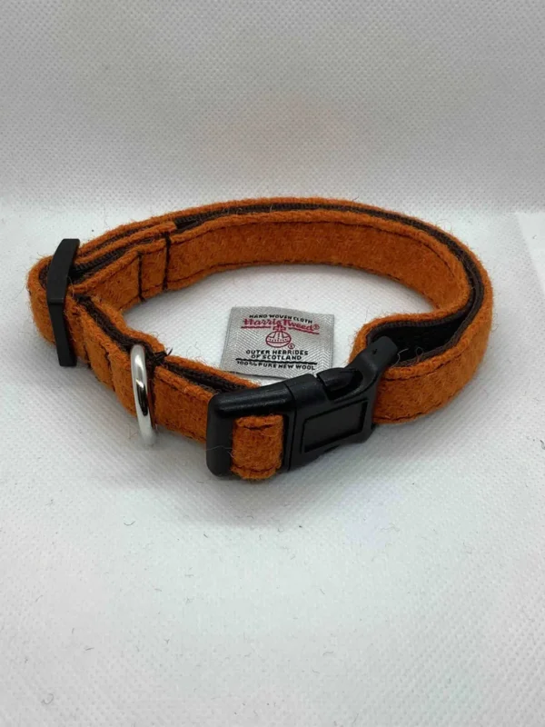 Orange Harris Tweed Dog Collar - Image 2