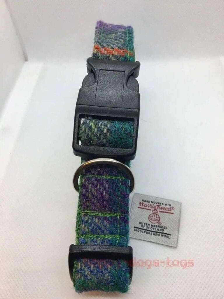Purpleandgreencheckfolded 2