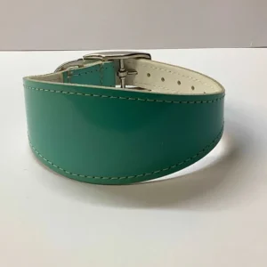 Small Leather Greyhound Collar in Gloss Teal