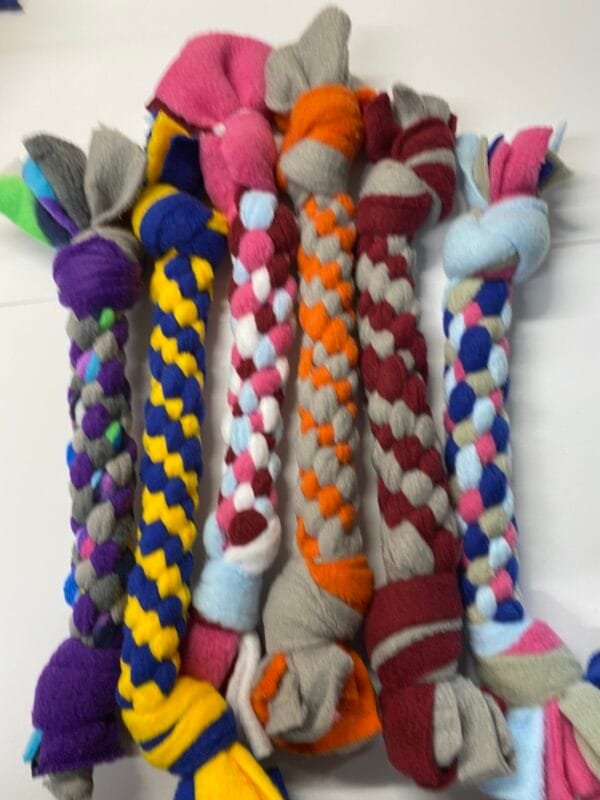 Autumn Coloured Dog Tug Toy