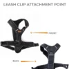 Mighty Paw Sports Dog Harness Small size - Image 6