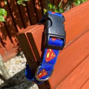 Medium size Superman dog collar