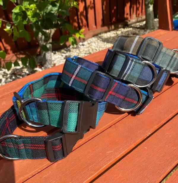 Extra Large Tartan Dog Collar