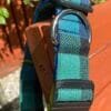 Extra Large Tartan Dog Collar - Image 3