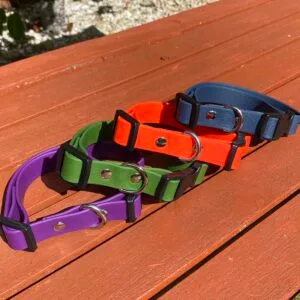 waterproof dog collar selection
