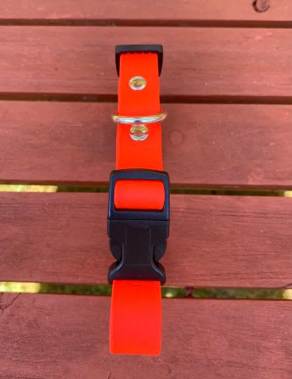 19Mm Waterproof Dog Collar – Durable, Odour-Resistant &Amp; Vegan-Friendly - Image 14