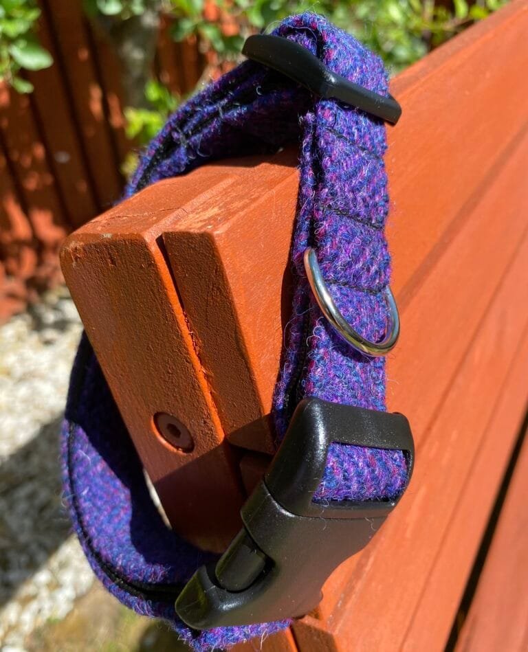 Purple Hombre Harris Tweed Dog Collar