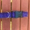 Purple Harris tweed large Dog Collar