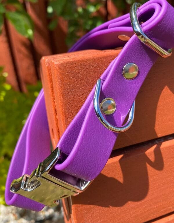 19Mm Waterproof Dog Collar – Durable, Odour-Resistant &Amp; Vegan-Friendly - Image 4