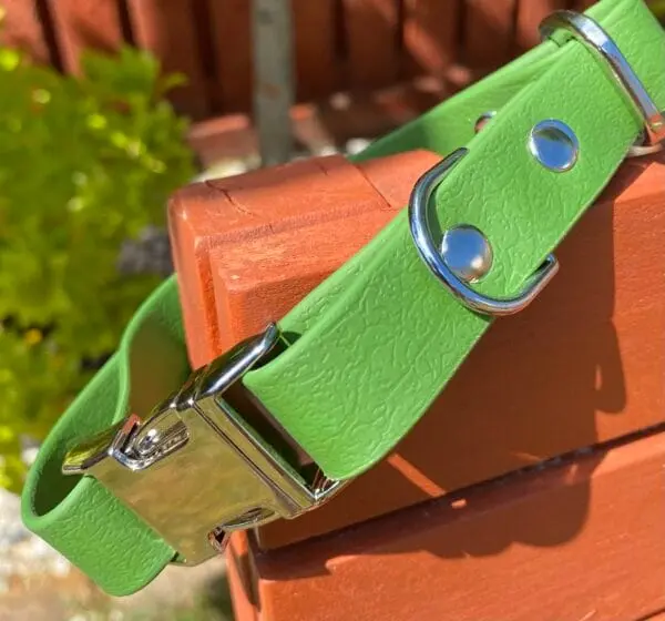 19Mm Waterproof Dog Collar – Durable, Odour-Resistant &Amp; Vegan-Friendly - Image 2