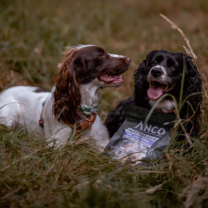 2 Dogs With Bag Of Pork Scratchings