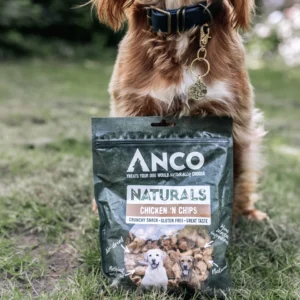 Dog With Bag Of Chicken In Chips