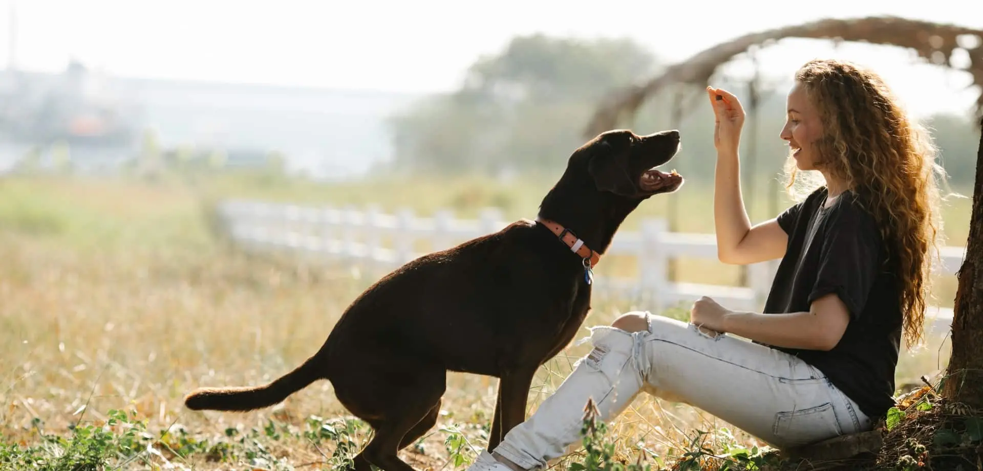 Natural Dog Treats And Snacks