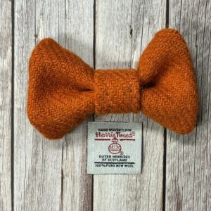 Orange Small Harris Tweed dog Bow Tie